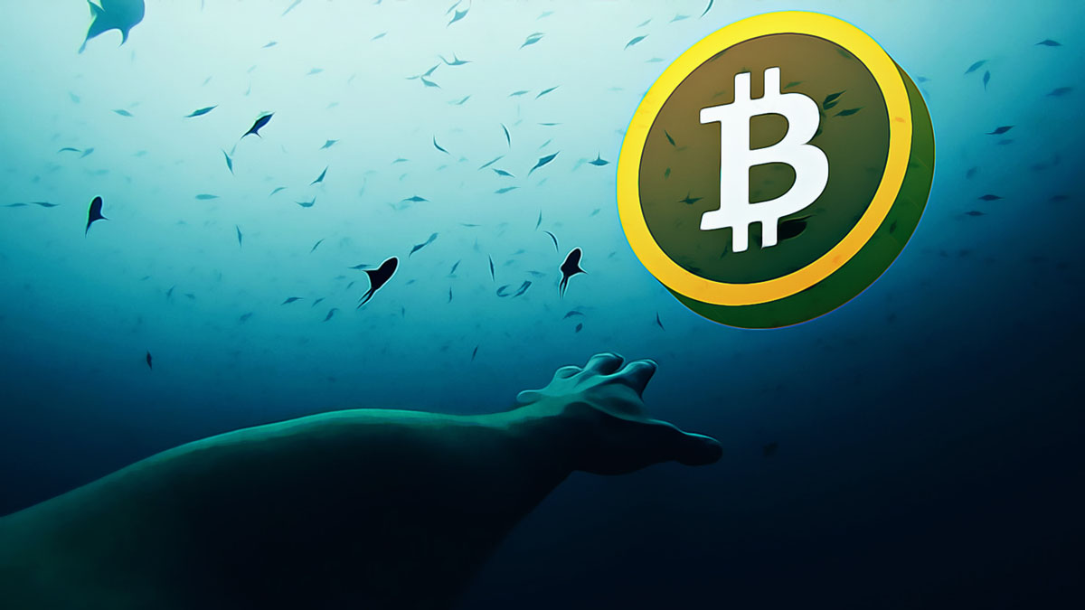 特朗普支持比特币和美国矿业增长-最新加密货币新闻