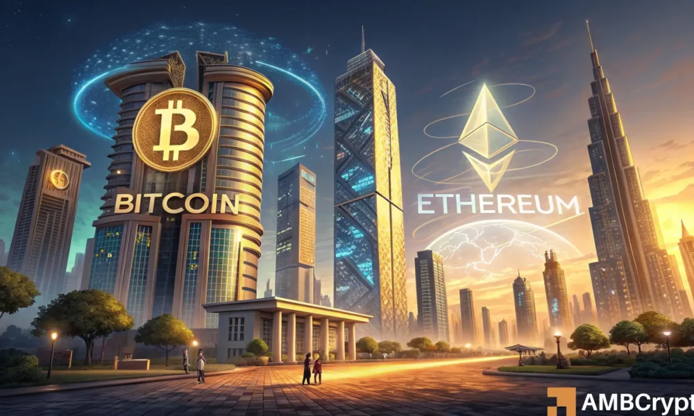 今年在加密货币领域，比特币和以太坊ETF获得批准，“特朗普泵”等。