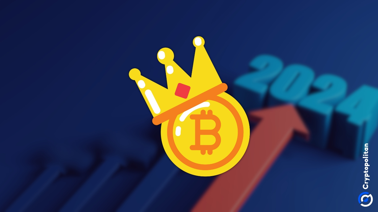 比特币在2024年成为迄今为止最大的投资资产