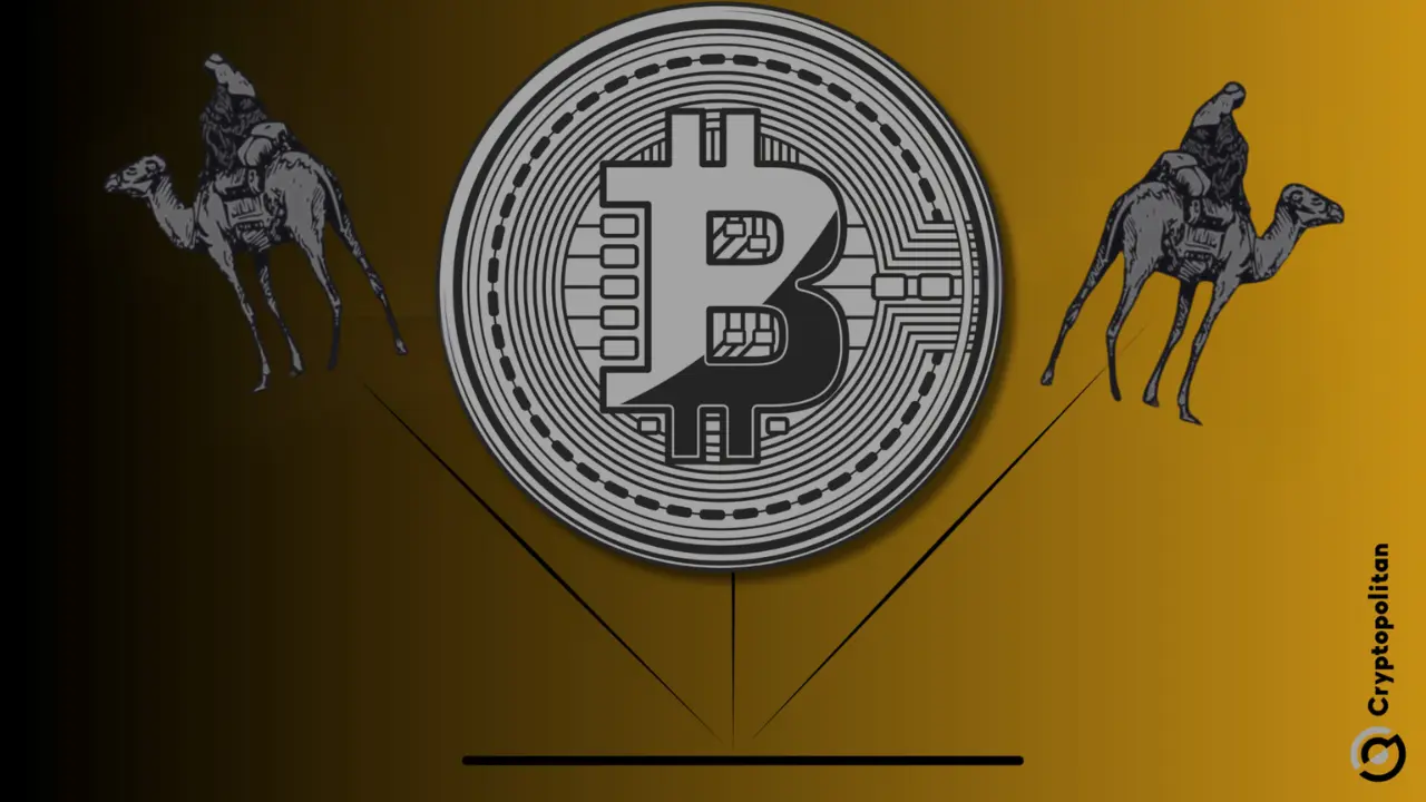 丝绸之路连接的钱包移动3,421BTC，价值3.225亿美元；十多年的休眠