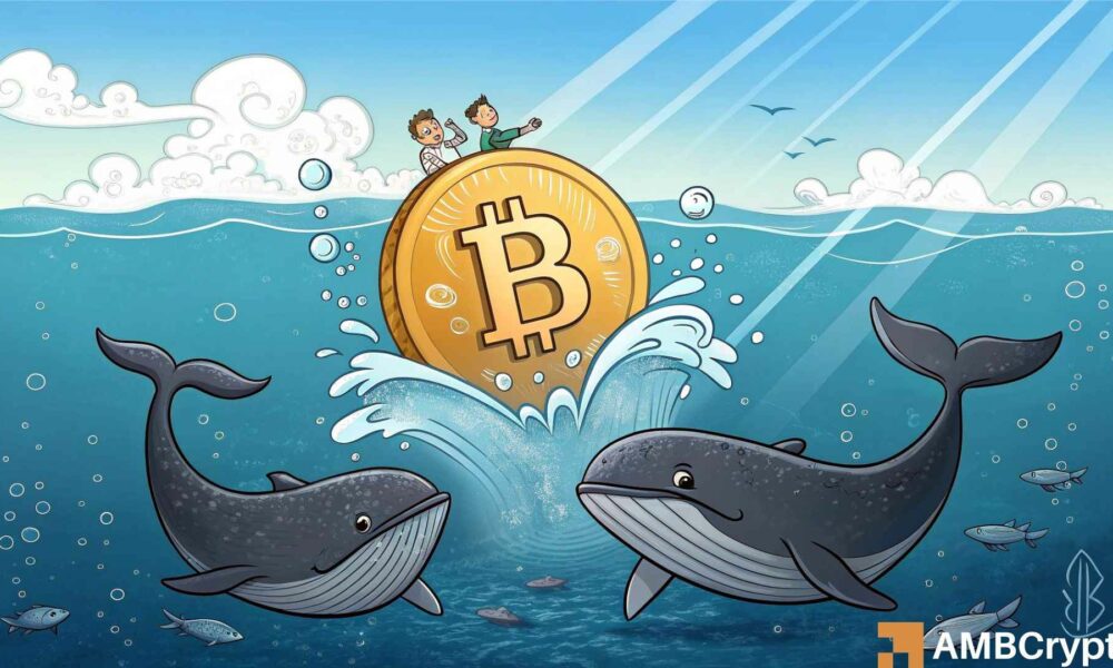 比特币：鲸鱼撤回110kBTC-新ATH的前奏？