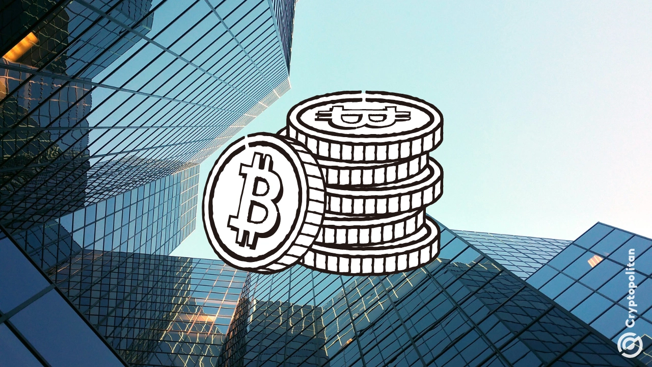 Coatue的Laffont表示，随着波动性逐渐减弱，比特币正在成为一种核心资产