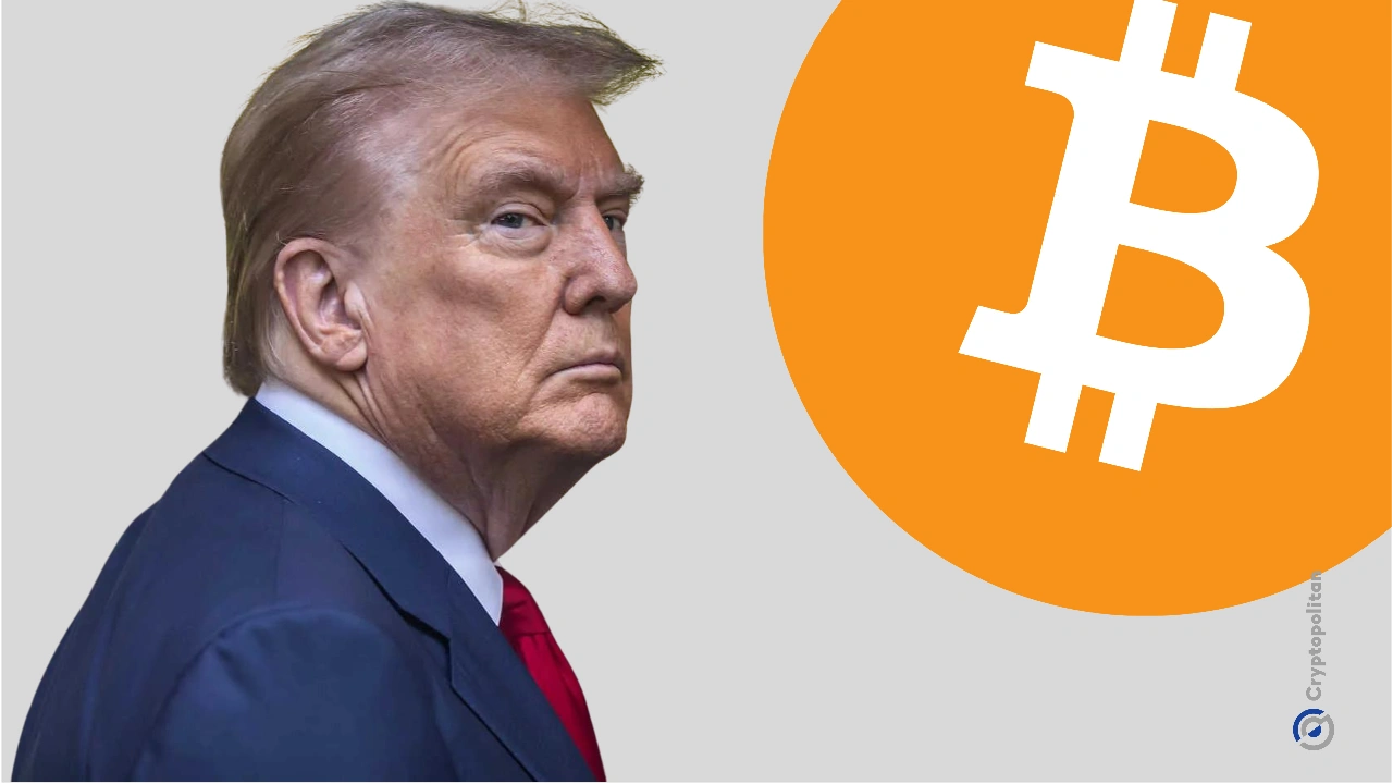 特朗普支持对比特币支付实行最低限度免税：白宫