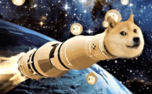 韭菜崛起—狗狗币吸引Wallstreetbets关注，一小时暴涨50%