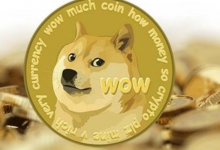 狗狗币网络或遭到DoS攻击