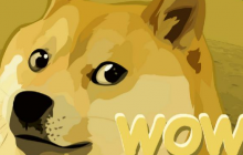 细数狗狗币的五次史诗级暴涨