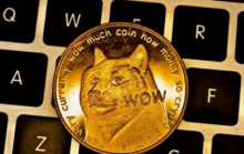 Elon Musk推特再提及狗狗币 DOGE日内涨超50%