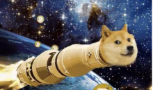 埃隆·马斯克在推特发起关于狗狗币的调查