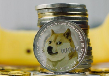 马斯克继昨日之后再次发布关于狗狗币视频