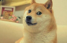 为什么说4月20日对于狗狗币来说是重要的一天？