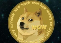 狗狗币暴涨118倍：马斯克成“带货高手”？专业人士提醒投机泡沫