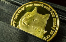 散户的胜利？从共识推动下狗狗币的暴涨开始说起