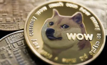  AMC院线现接受DOGE和SHIB支付