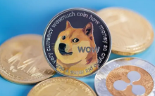  安全公司：Wiener DOGE项目被恶意利用，造成3万美元的损失