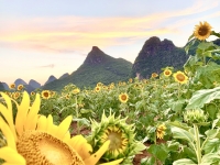 周东然：以太昨日拿下200点，日内回调