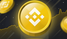 BNB续刷历史新高，一文看懂它的前世今生