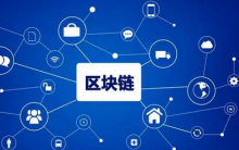  湖南省数字政府区块链平台及应用示范项目公开招标