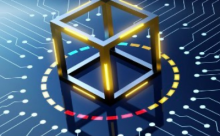 Haseeb：区块链不应该是民主政体