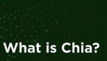 什么是Chia网络？